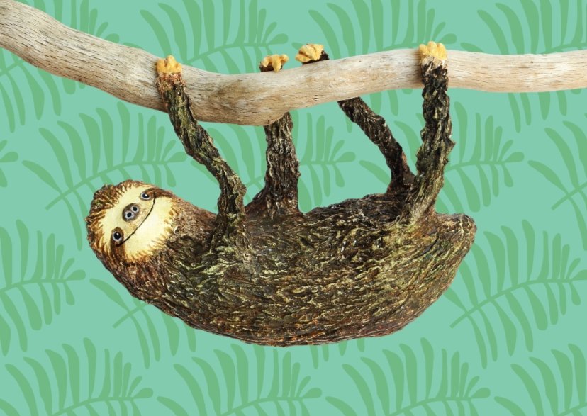 Luiaard hangt aan een tak - Dierenkaarten Dierenkaarten - Luiaard hangt aan een tak