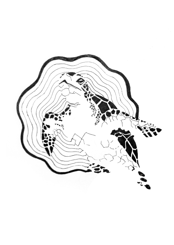 Dierenkaarten - Orinele kaart met Schildpad illustratie zwart-wit