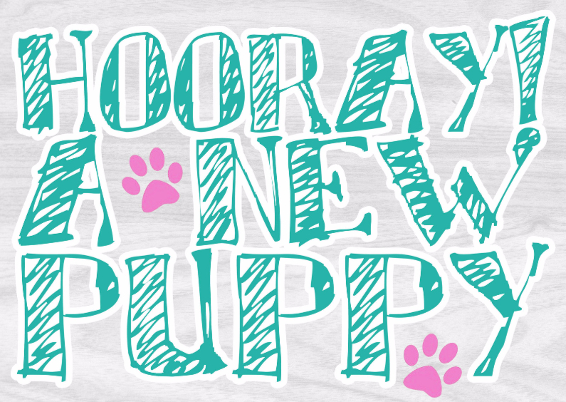 Puppykaart - Dierenkaarten Dierenkaarten - Puppykaart