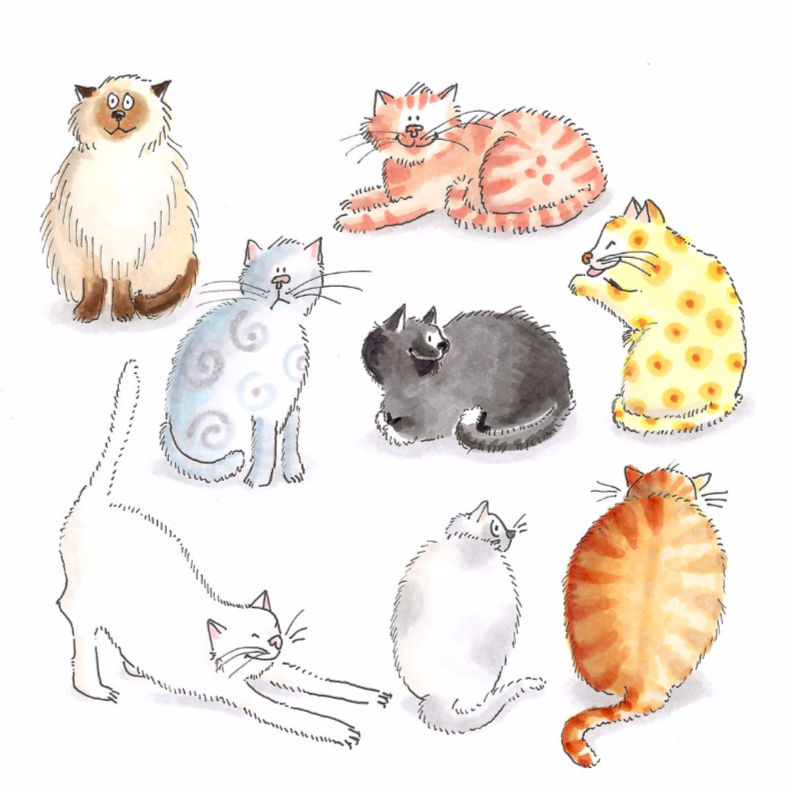Dierenkaarten - Tien katten