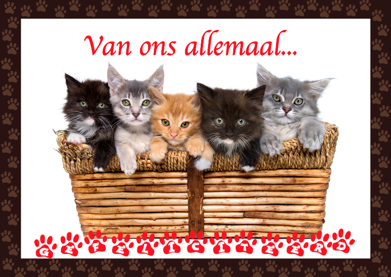 Verjaardagsfelicitatie poeziebouzie - Dierenkaarten Dierenkaarten - Verjaardagsfelicitatie poeziebouzie