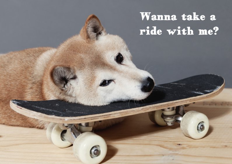 Wanna take a ride with me - Dierenkaarten Dierenkaarten - Wanna take a ride with me