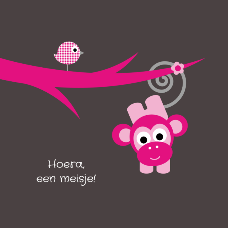 Aapje meisje - Felicitatiekaarten Felicitatiekaarten - Aapje meisje