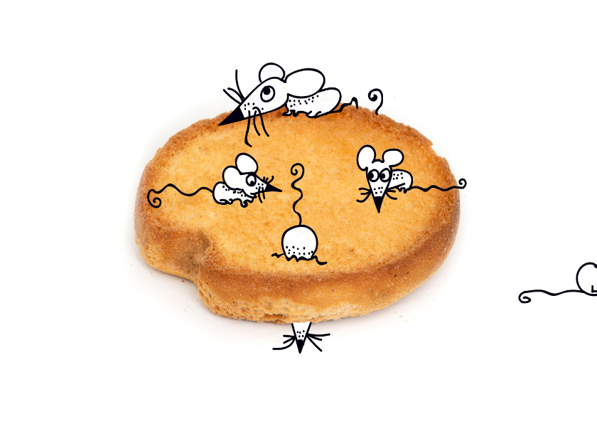 Beschuit met muisjes eten - Felicitatiekaarten Felicitatiekaarten - Beschuit met muisjes eten