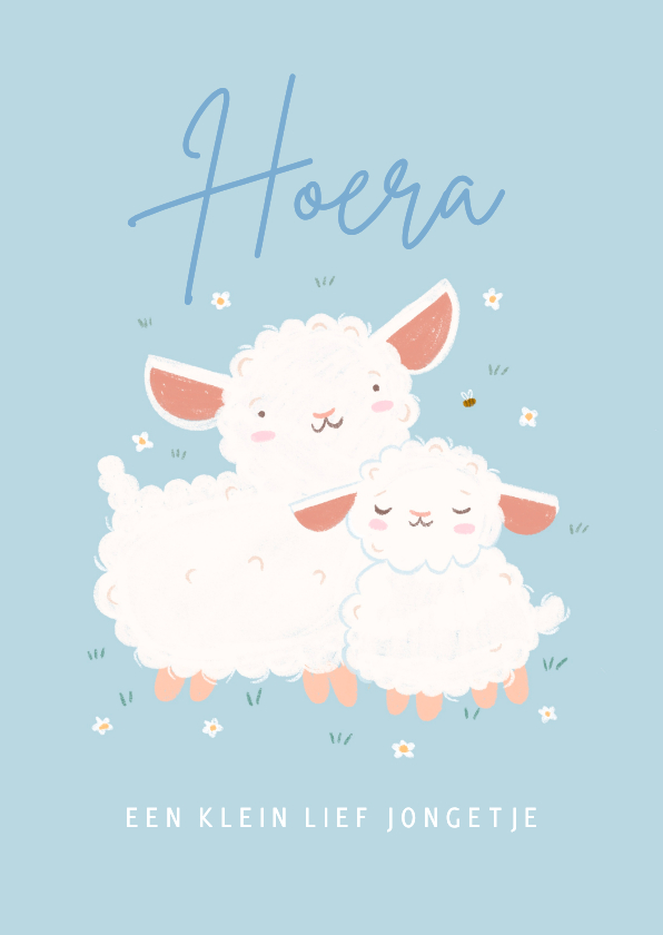 Felicitatiekaarten - Blauw felicitatiekaartje geboorte lammetje schaap bijtje
