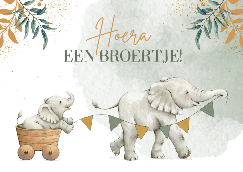 Felicitatiekaarten - Botanische felicitatiekaart geboorte broertje met olifantjes