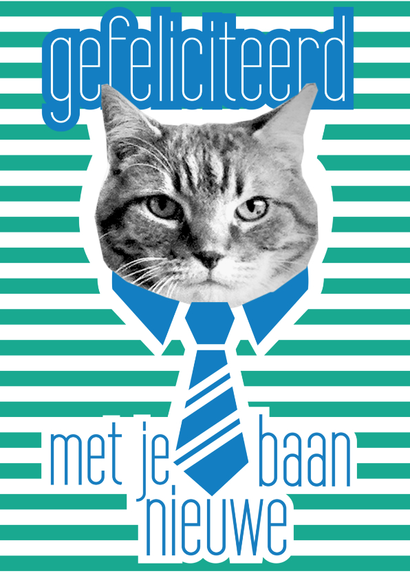 Brandal Nieuwe Baan - Felicitatiekaarten Felicitatiekaarten - Brandal Nieuwe Baan