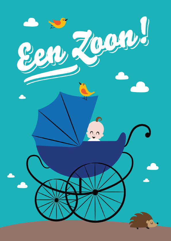 Felicitatiekaarten - Een jongen kinderwagen blij