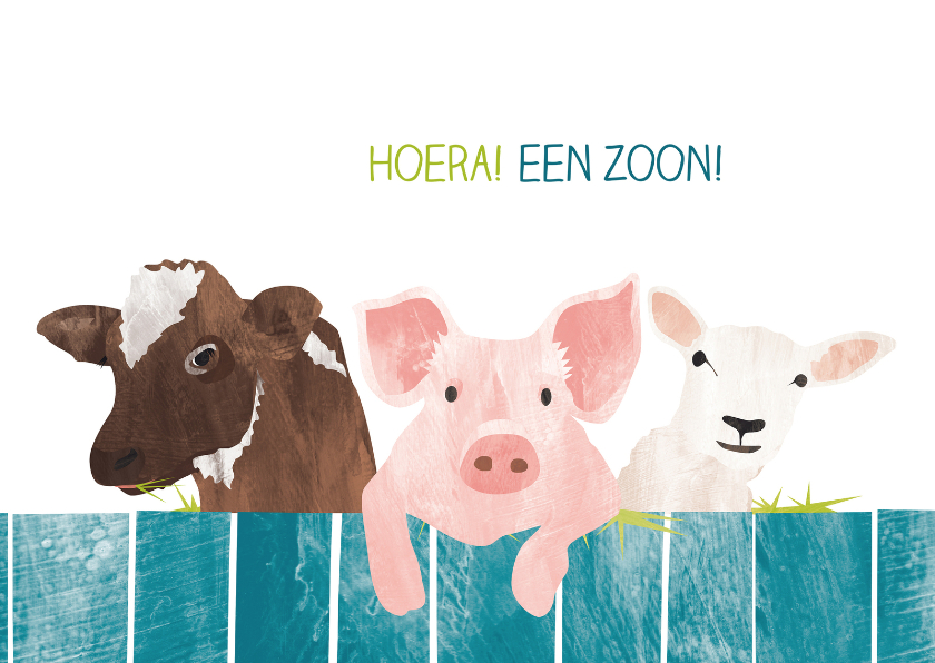 Felicitatiekaarten - Een zoon met koe varken en schaap