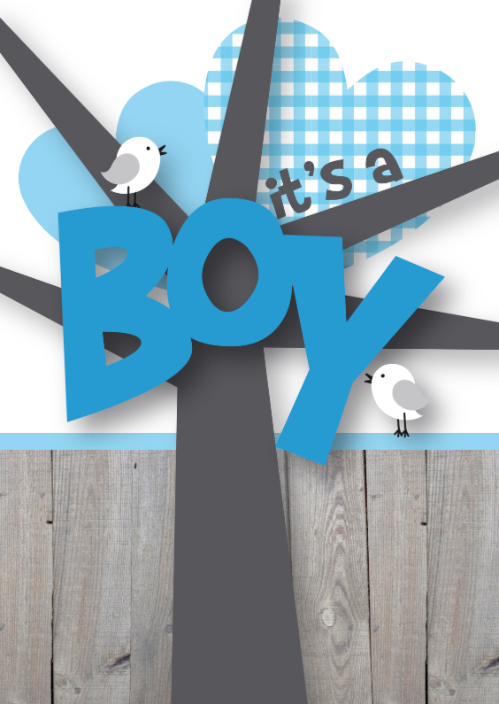 Felicitatie boy happy birds - Felicitatiekaarten Felicitatiekaarten - Felicitatie boy happy birds