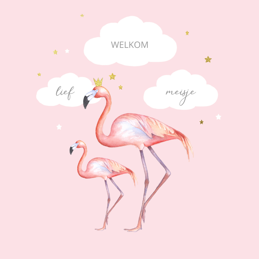 Felicitatiekaarten - Felicitatie flamingo geboorte