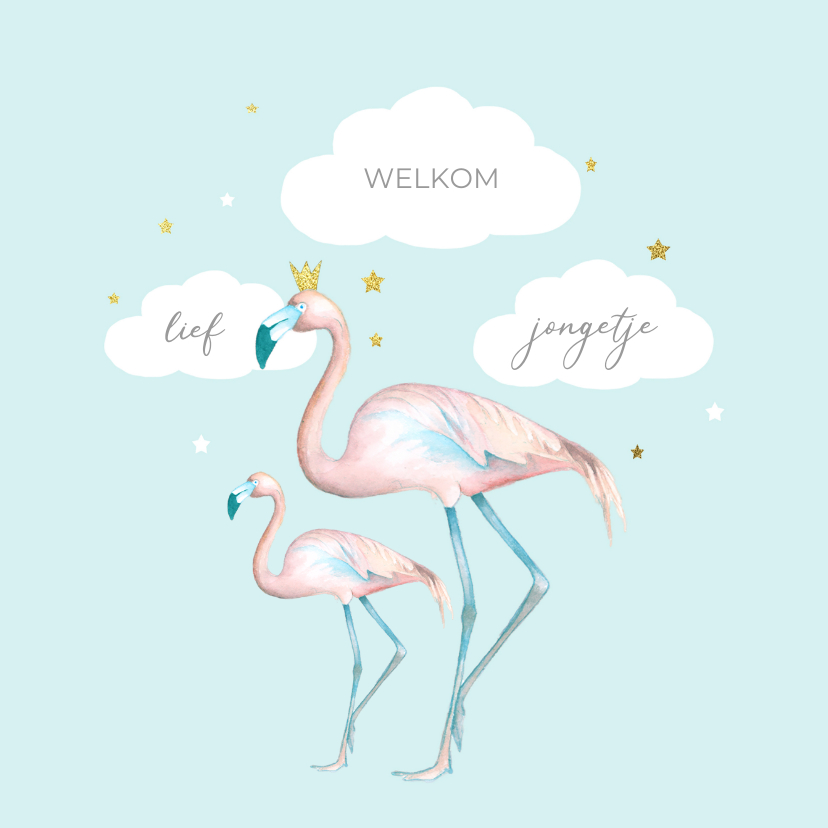 Felicitatiekaarten - Felicitatie flamingo jongen
