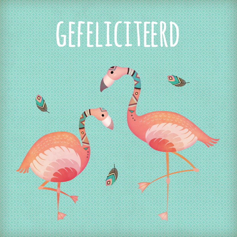 Felicitatiekaarten - Felicitatie flamingo's - BK