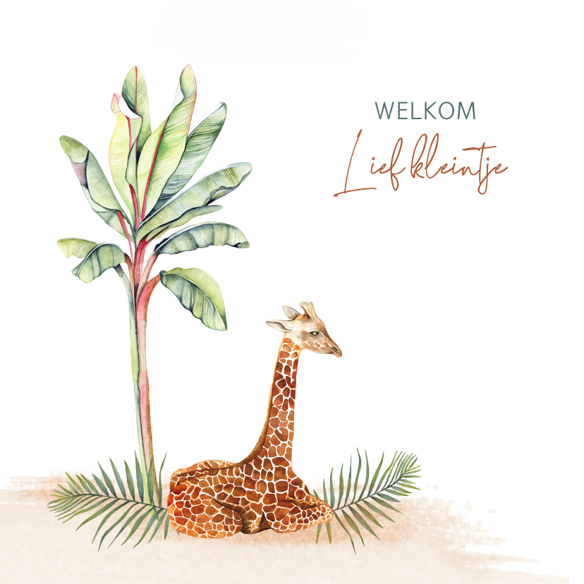 Felicitatiekaarten - Felicitatie geboorte giraffe