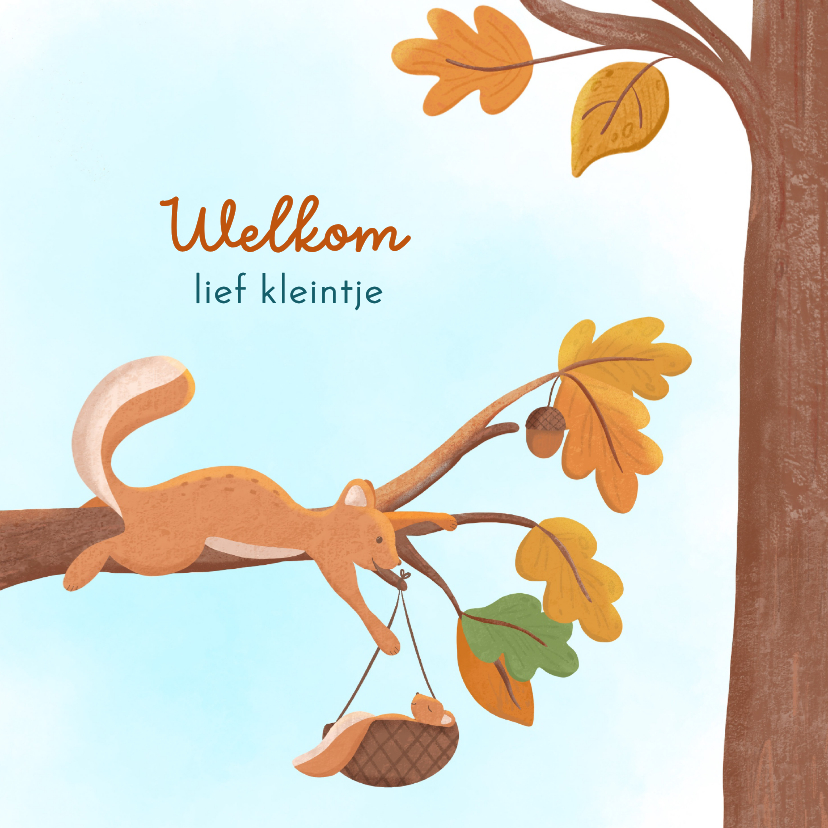 Felicitatie geboorte jongen eekhoorn met baby in bos - Felicitatiekaarten Felicitatiekaarten - Felicitatie geboorte jongen eekhoorn met baby in bos