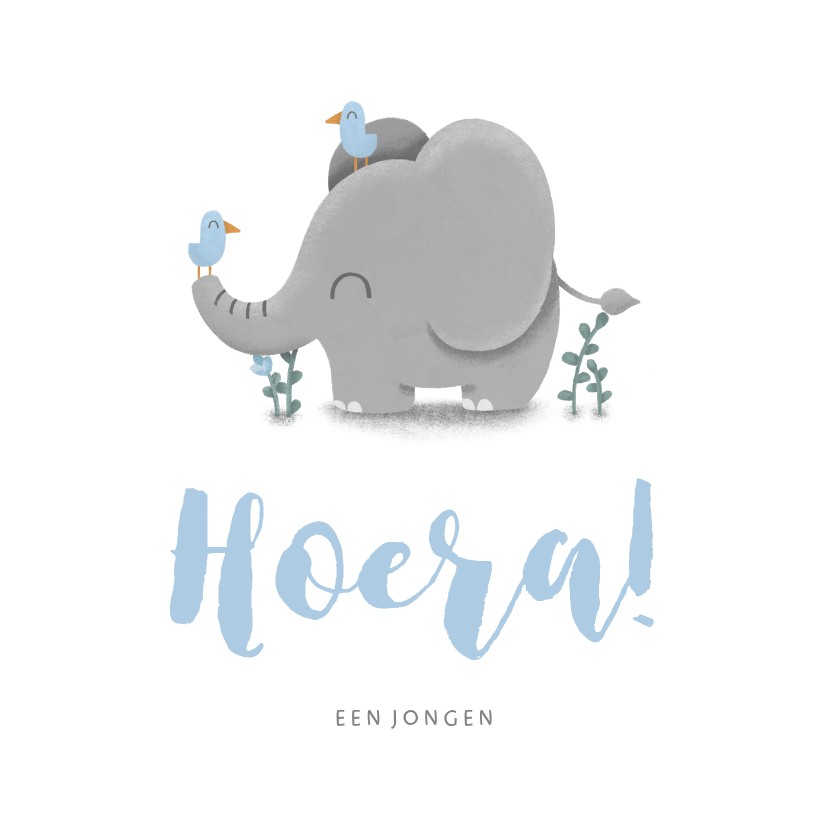 Felicitatiekaarten - Felicitatie geboorte jongen met lieve olifant en vogeltjes