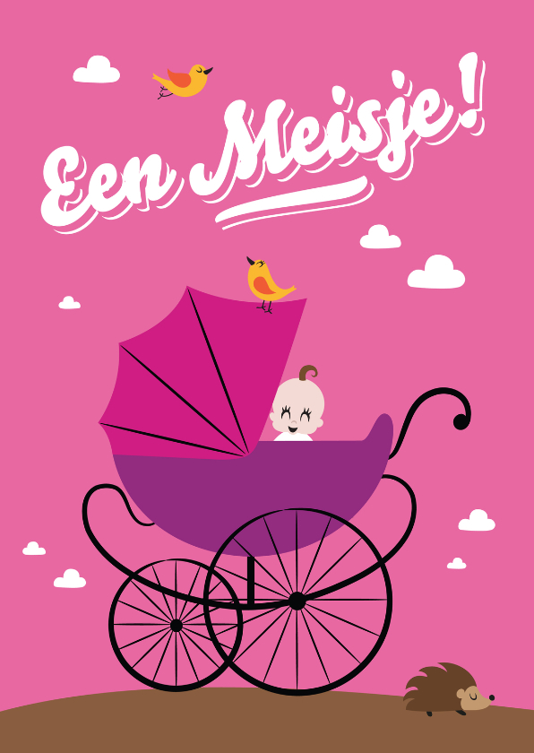 Felicitatie geboorte kinderwagen - Felicitatiekaarten Felicitatiekaarten - Felicitatie geboorte kinderwagen