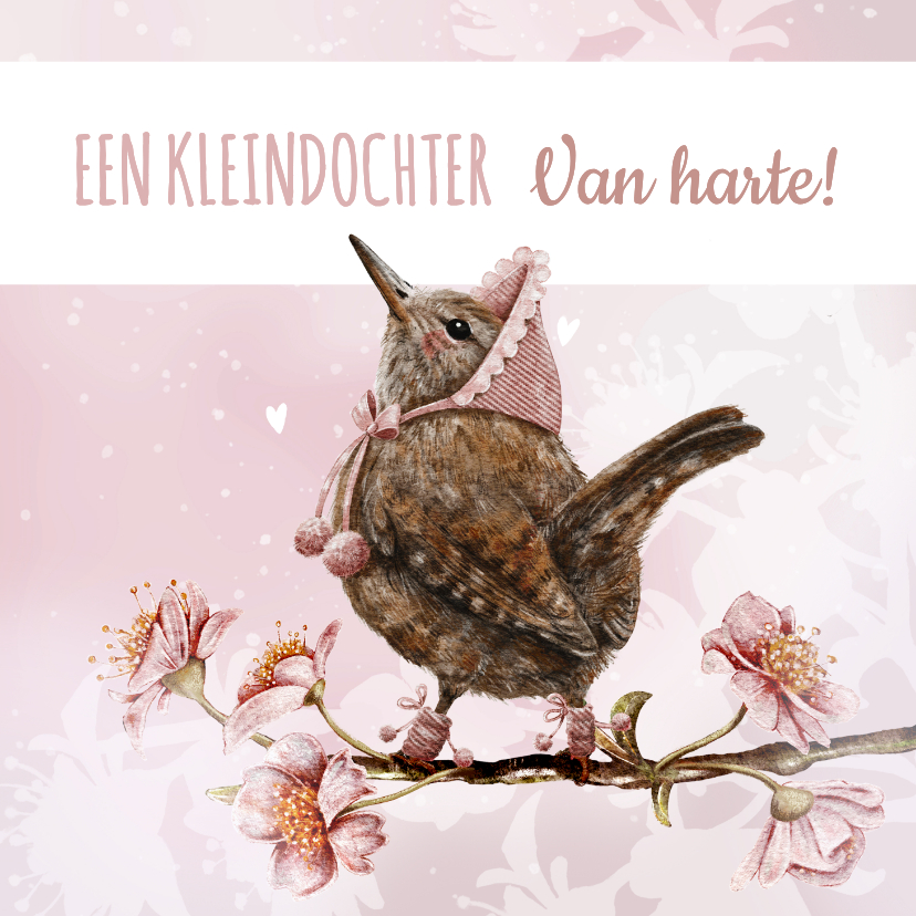 Felicitatie geboorte kleindochter vogeltje op bloesemtak - Felicitatiekaarten Felicitatiekaarten - Felicitatie geboorte kleindochter vogeltje op bloesemtak