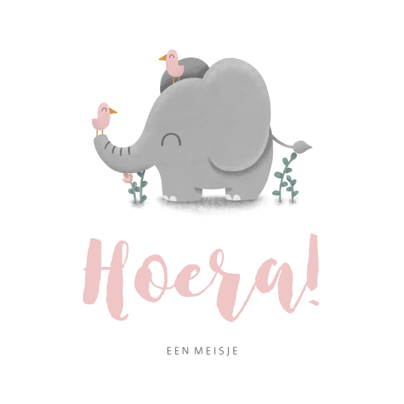 Felicitatiekaarten - Felicitatie geboorte meisje met lieve olifant en vogeltjes