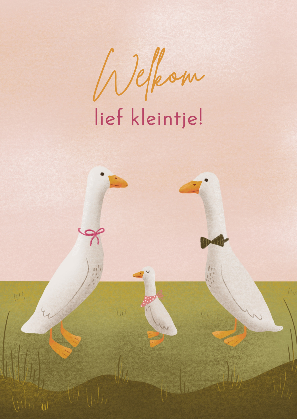 Felicitatiekaarten - Felicitatie geboorte meisje met loopeendjes in pastelkleuren