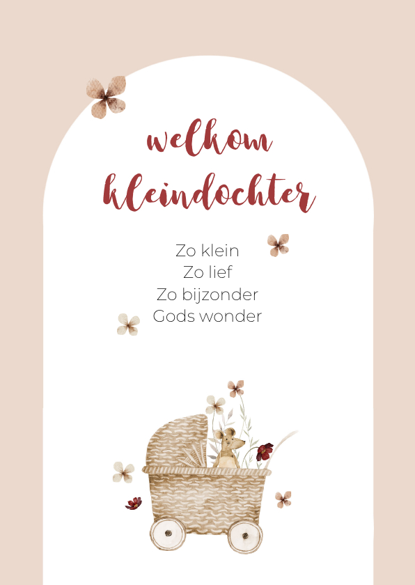 Felicitatiekaarten - Felicitatie geboorte meisje wieg bloemen