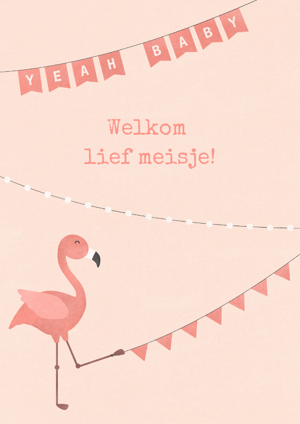 Felicitatiekaarten - Felicitatie geboorte met slingers flamingo