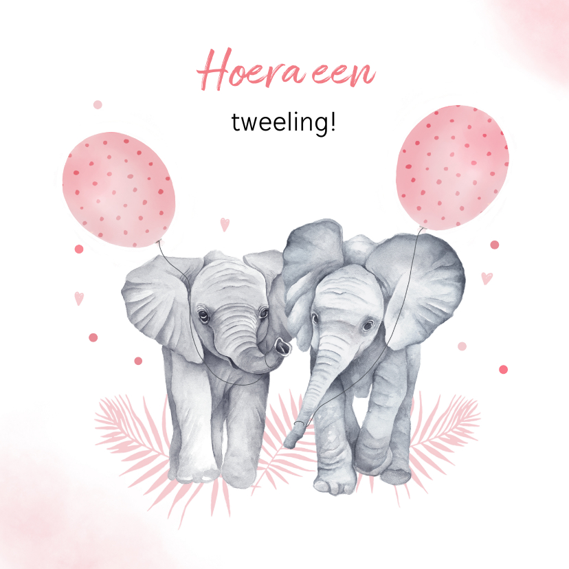 Felicitatiekaarten - Felicitatie geboorte tweeling meisjes olifantjes