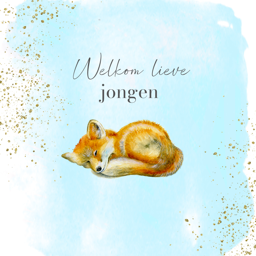 Felicitatie geboorte vosje jongen - Felicitatiekaarten Felicitatiekaarten - Felicitatie geboorte vosje jongen