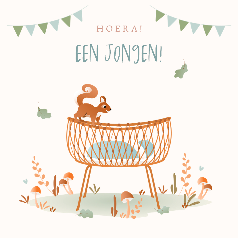 Felicitatie geboorte zoon met rotan wiegje en eekhoorn - Felicitatiekaarten Felicitatiekaarten - Felicitatie geboorte zoon met rotan wiegje en eekhoorn