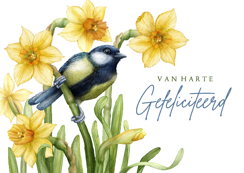 Felicitatiekaarten - Felicitatie geel voorjaar narcis koolmees