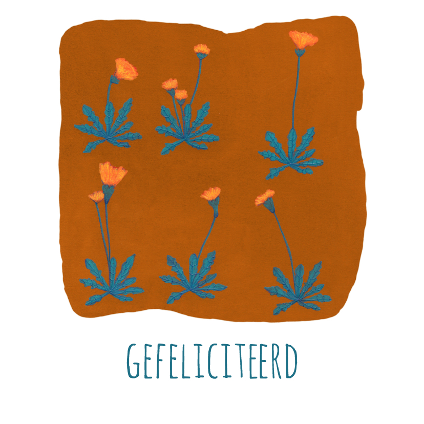 felicitatie-gefeliciteerd2-kk - Felicitatiekaarten Felicitatiekaarten - felicitatie-gefeliciteerd2-kk