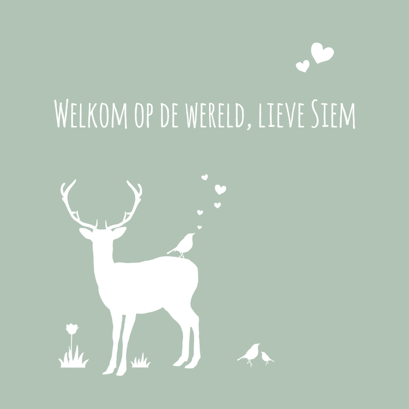 Felicitatie - Hert, jongen,groen - Felicitatiekaarten Felicitatiekaarten - Felicitatie - Hert, jongen,groen