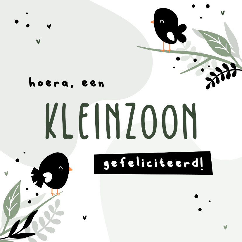 Felicitatiekaarten - Felicitatie hoera een kleinzoon met vogeltjes