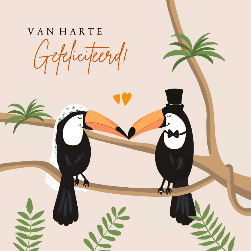 Felicitatiekaarten - Felicitatie huwelijk toekans in bruidskleding