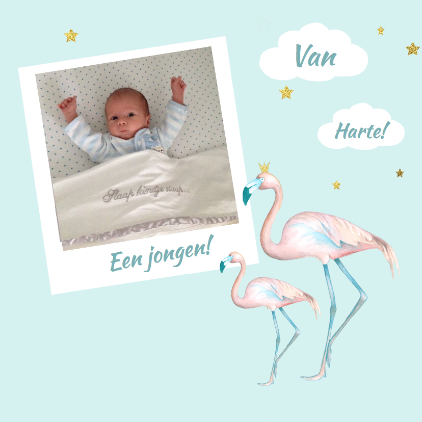 Felicitatiekaarten - Felicitatie jongen flamingo foto