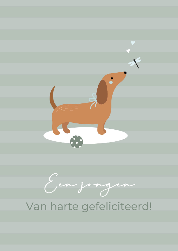 Felicitatie jongen teckel met bal - Felicitatiekaarten Felicitatiekaarten - Felicitatie jongen teckel met bal