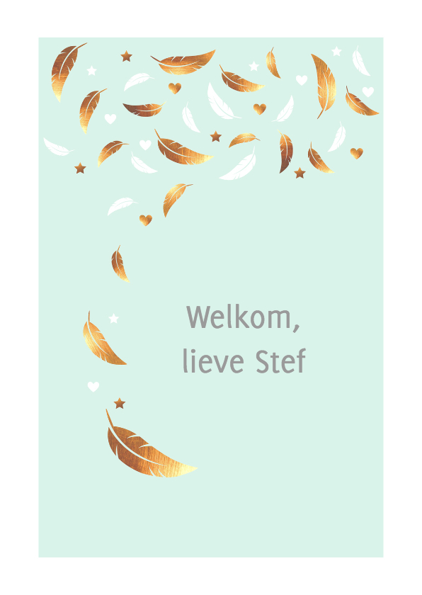 Felicitatiekaarten - Felicitatie - jongen,veren,goud 