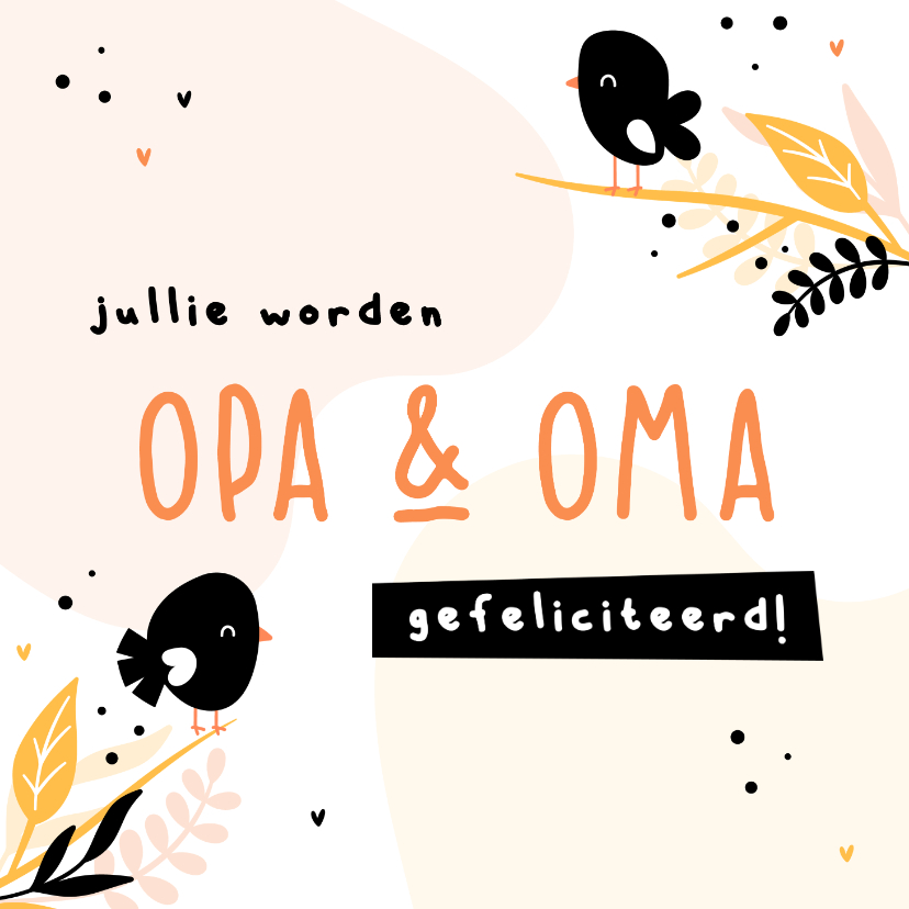 Felicitatie jullie worden opa en oma met vogeltjes - Felicitatiekaarten Felicitatiekaarten - Felicitatie jullie worden opa en oma met vogeltjes