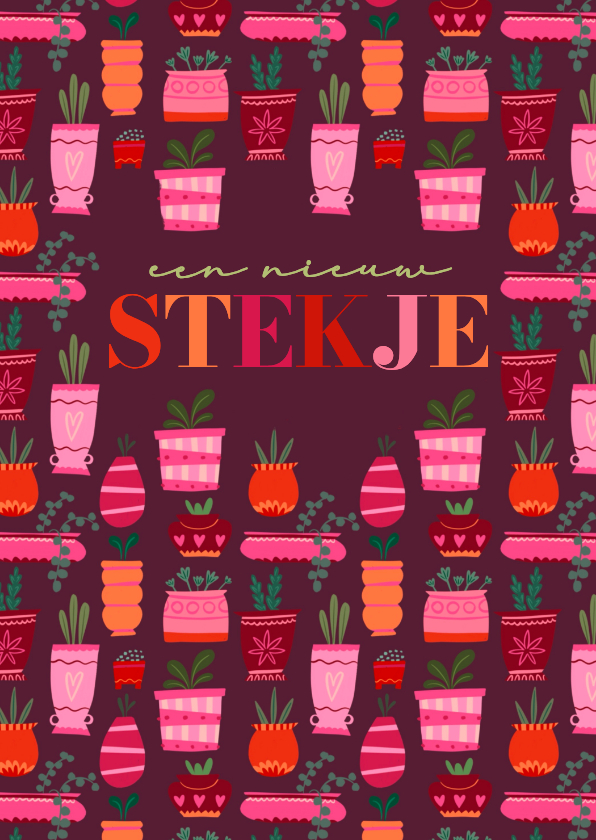 Felicitatiekaarten - Felicitatie kaart 'een nieuw stekje' retro potjes