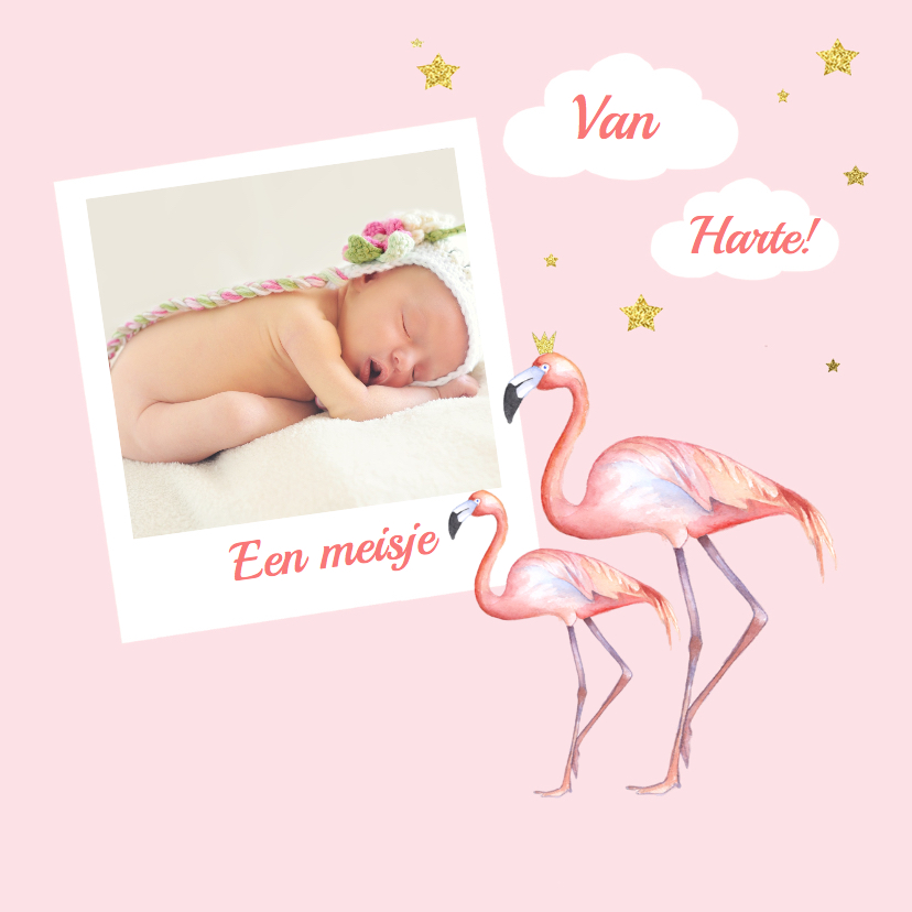 Felicitatie meisje flamingo foto - Felicitatiekaarten Felicitatiekaarten - Felicitatie meisje flamingo foto