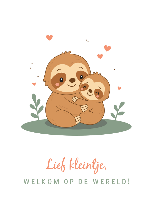 Felicitatiekaarten - Felicitatie met schattige luiaard met baby