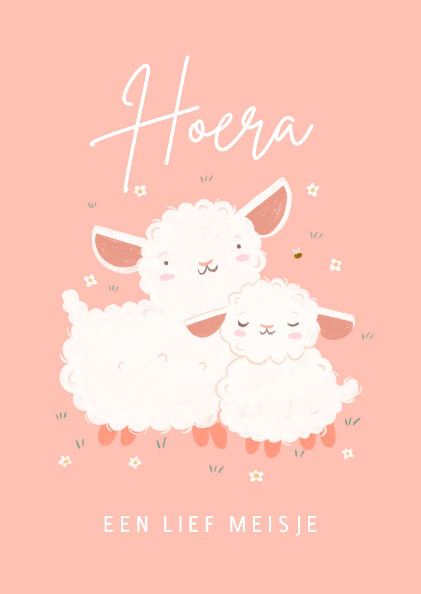Felicitatiekaarten - Felicitatie roze geboortekaartje lammetje schaapje en bij