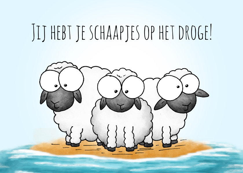 Felicitatiekaarten - Felicitatie schapen jij hebt je schaapjes op het droge!