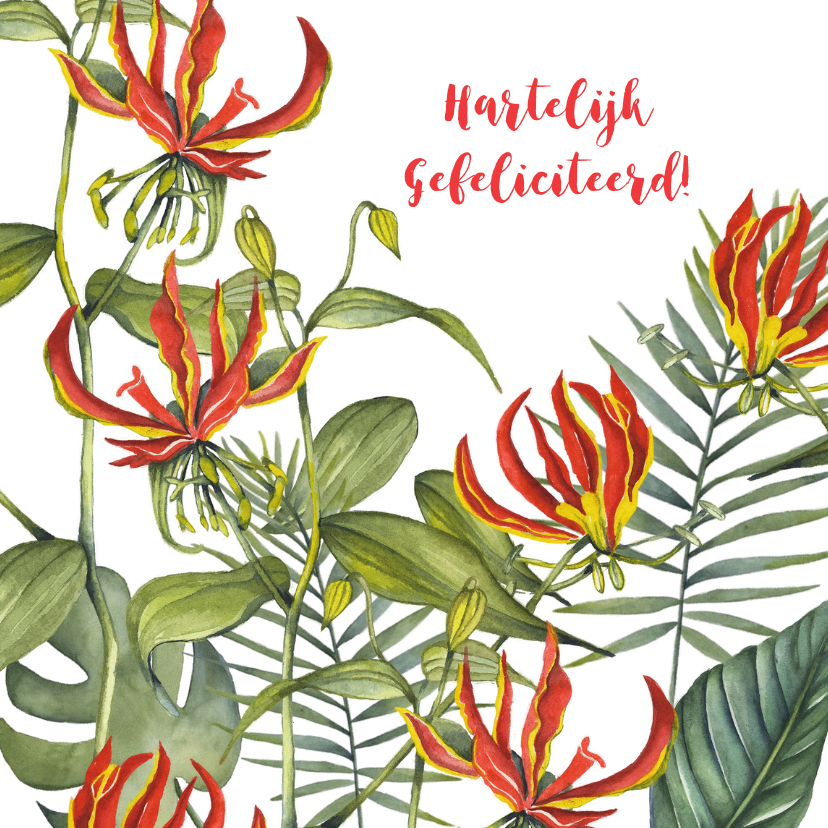 Felicitatie tropische bloemen - Felicitatiekaarten Felicitatiekaarten - Felicitatie tropische bloemen