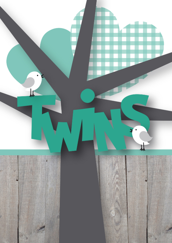 Felicitatie tweeling birds - Felicitatiekaarten Felicitatiekaarten - Felicitatie tweeling birds