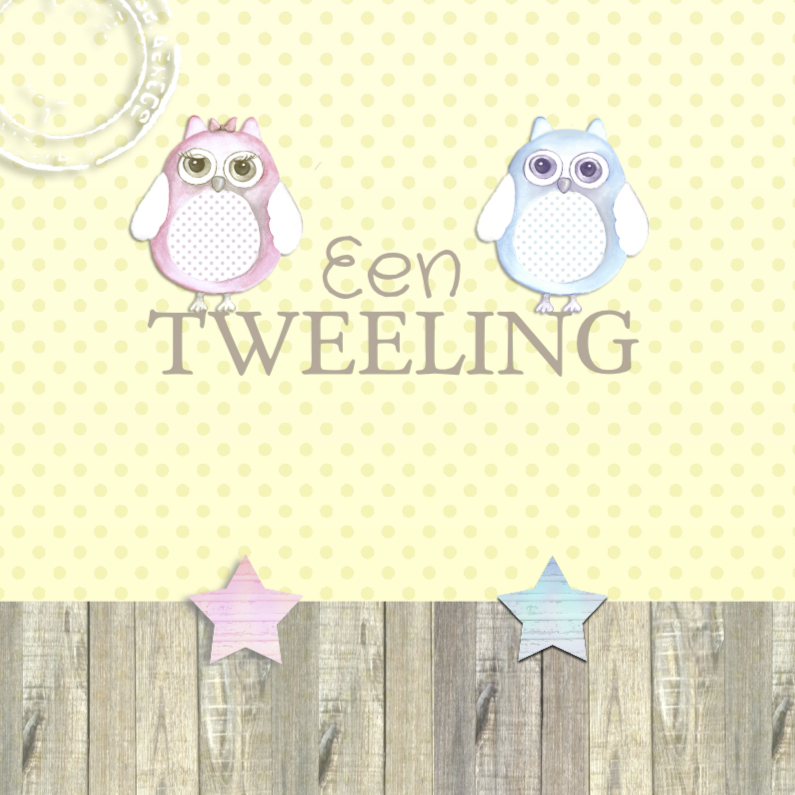 Felicitatie tweeling uil - Felicitatiekaarten Felicitatiekaarten - Felicitatie tweeling uil