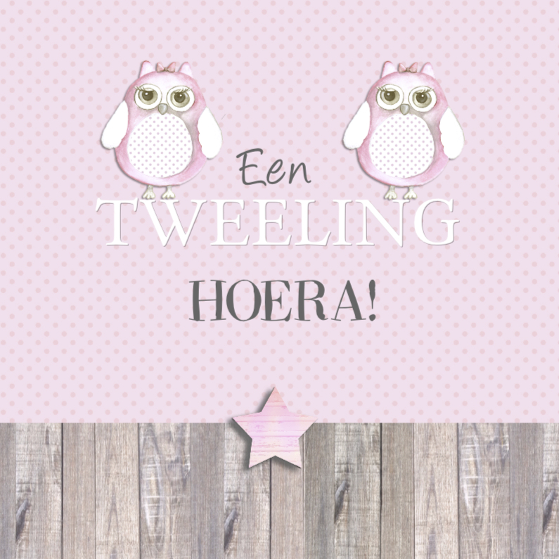 felicitatie tweeling uiltje - Felicitatiekaarten Felicitatiekaarten - felicitatie tweeling uiltje