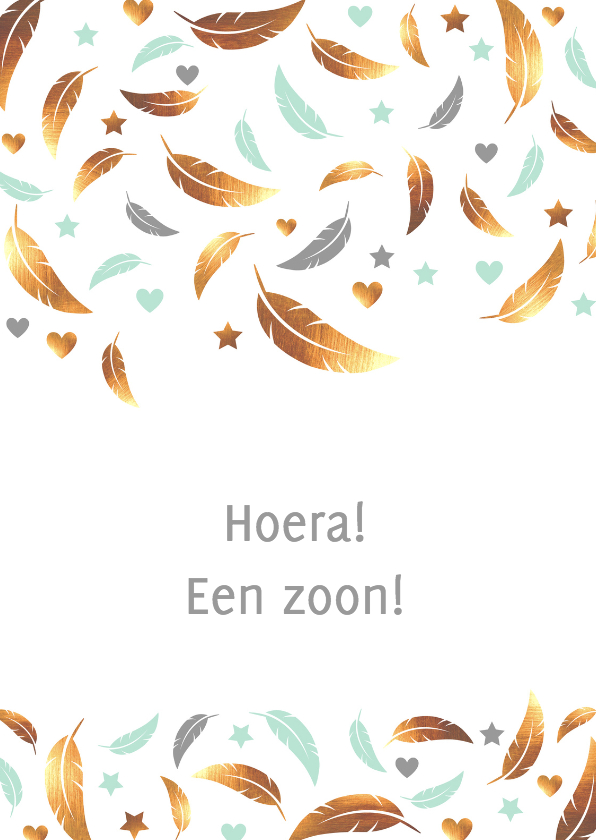 Felicitatie - Veer, hartje, zoon - Felicitatiekaarten Felicitatiekaarten - Felicitatie - Veer, hartje, zoon