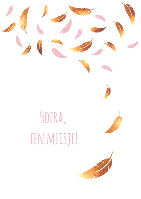 Felicitatie - Veren goud en roze - Felicitatiekaarten Felicitatiekaarten - Felicitatie - Veren goud en roze