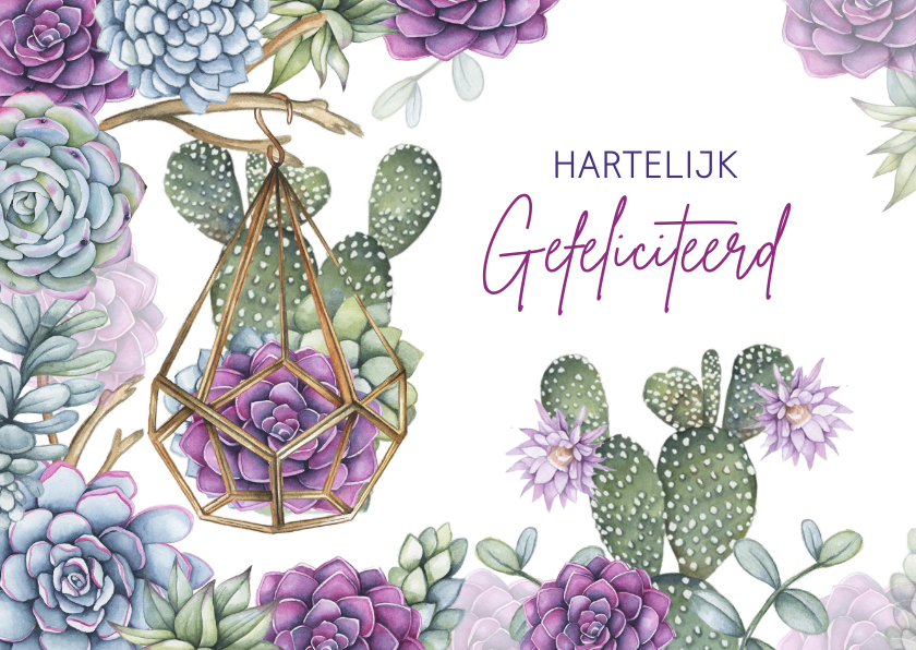 Felicitatie vetplant aquarel - Felicitatiekaarten Felicitatiekaarten - Felicitatie vetplant aquarel